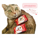 江崎グリコさんのモニターで、オリジナルパッケージのビスコがつくれる【スマイルビスコ】つくってみてのレビューになります。私は、ウチの猫の写真でつくってみました。難しい作業とかはなく簡単につくれまし&hellip;のInstagram画像