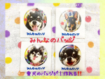 気に入って❣️缶バッジ使ってます❣️自宅にいて、アプリで簡単にバッジが作れちゃいます。離れていても、お顔を見れて、癒されます。アプリで注文して、ワクワクしながら、待って&hellip;のInstagram画像