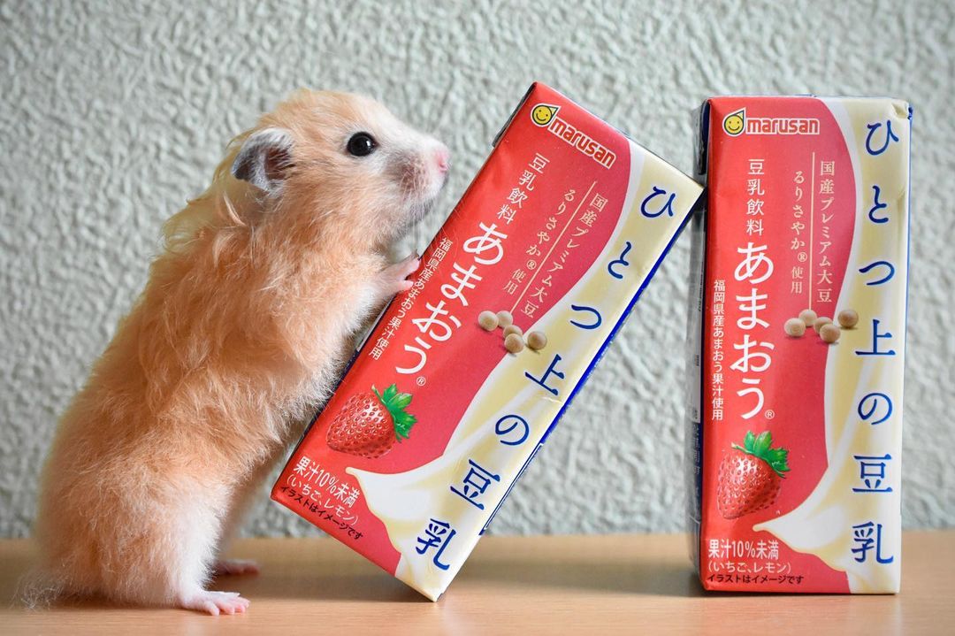 口コミ投稿：ひとつ上の豆乳「あまおう」味🍓甘酸っぱくていちご感がかなりあるので豆乳ってわから…