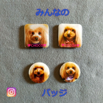 ♡スマホの中のお気に入り写真で缶バッジやマグネットが作れるアプリ『みんなのバッジ』✨今回は、マグネットを作ってみたよ😊〇▢🤍の形から選べるよ💕スタンプを使ったり文字入れもできます😉個&hellip;のInstagram画像