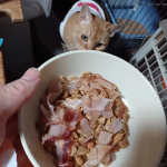 モニプラファンブログで当選 マルトモの、ねこちゃん・わんちゃんのための花かつお 「減塩かつおだいすき」をモニターさせていただいたにゃ。 「かつおだいすき」は国産かつお節使用 塩分25％減塩タイプで&hellip;のInstagram画像