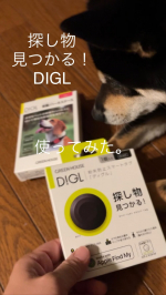 スマートタグの【ディグル】DIGLを使ってみました。クマちゃんは散歩中や庭で遊んでいる時に脱走することがしばしば・・・探し物用かと思いきや、ペット用のケースもあってめちゃくちゃ嬉しかったです🙆&hellip;のInstagram画像