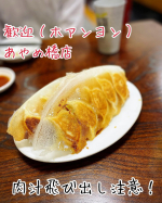 東京旅行記✨&larr;思い出したように6月9日友達とふかひれとお喋りを堪能した後は、仕事上がりの旦那さんと合流😊蒲田の餃子を食べに行きました！また中華だけど問題なし❤️こちらは美容室の方に聞&hellip;のInstagram画像