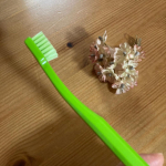 クラプロックス　キッズ　子ども歯ブラシ(4歳～12歳)4歳から12歳までのお子様のために特別に設計された、小さなお口でも奥まで届くコンパクトなブラシヘッドだそうで、我が家の8歳の娘も磨きやすいと大&hellip;のInstagram画像