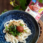 🍴暑ーい毎日が続くとさっぱり&すっぱいものが欲しくなる🤤お湯を入れるだけで簡単美味しい玉露園の『梅たっぷりうめこんぶ茶』を使って冷たーい夏っぽいお料理に🏖️✔梅たっぷり冷やしうどん白&hellip;のInstagram画像
