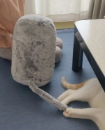 maki0610r⁡猫クッション⁡⁡ᓚᘏᗢ 💕⁡毛並みもフワフワで猫に似ていて癒される⁡我が家の猫は抱っこを嫌がるのでこのクッションをぎゅっとします⁡尻尾も付いていて可愛い&hearts;️⁡⁡⁡⁡&hellip;のInstagram画像