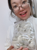 たくさん