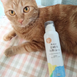 こちらの無添加 炭酸泡洗顔フォー厶をお試しさせていただきました！クレンジング剤配合で、軽いメイクならこれ1つでクレンジングと洗顔が済ませられます✨✨泡が硬めのホイップクリームのような弾力高め&hellip;のInstagram画像