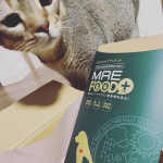 MREフードプラスモニターなんでも食べたくなっちゃう食いしん坊はペロリとそのまま舐め舐め👅喧嘩ばかりの3匹だけど、これからも長生きしてね✨#PR #株式会社スターネット #MREフードプラス&hellip;のInstagram画像