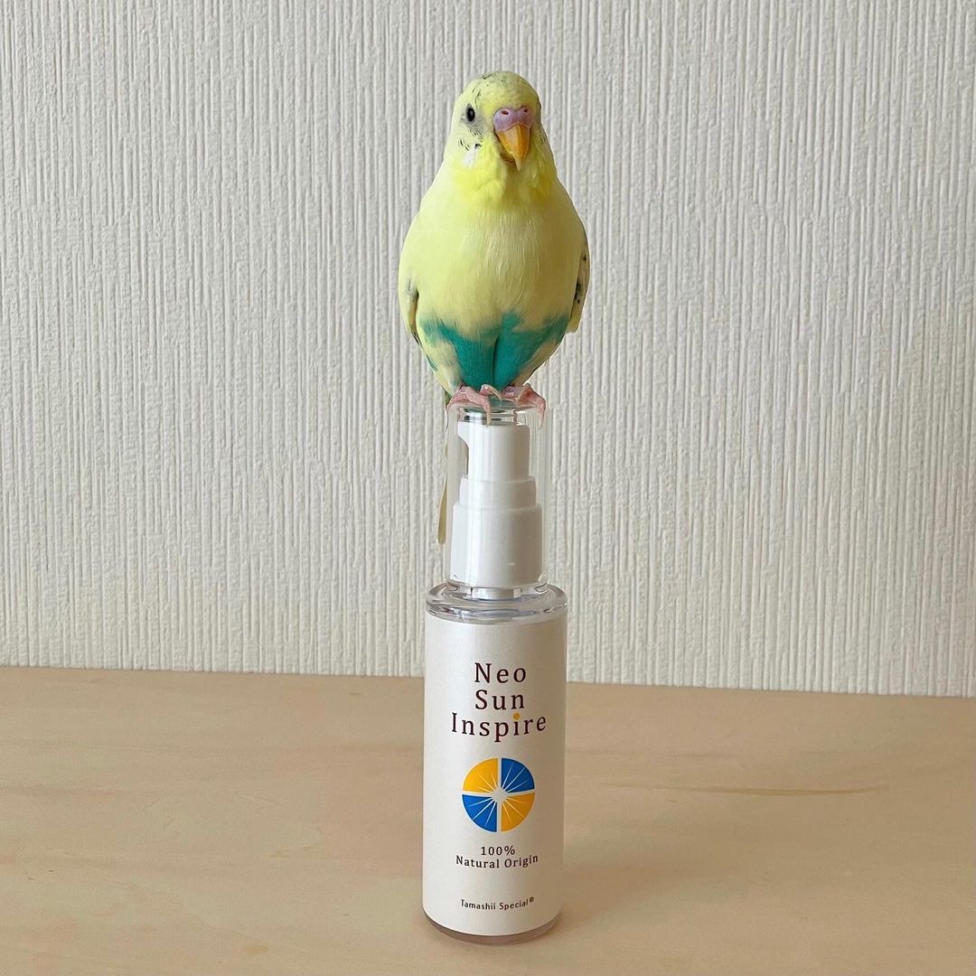 口コミ投稿：メル: 『ネオサンインスパイア』が、ママの肌を守ってくれるぞ！🐥😊✨.『ネオサンイン…
