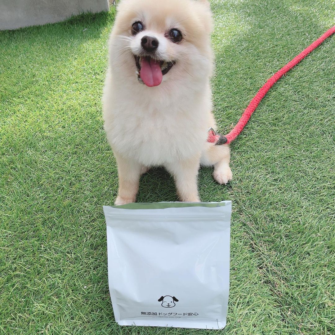 口コミ投稿：🌸無添加ドッグフード安心人も食べれる食材で作ったドッグフード♡お久しぶりです！ポ…