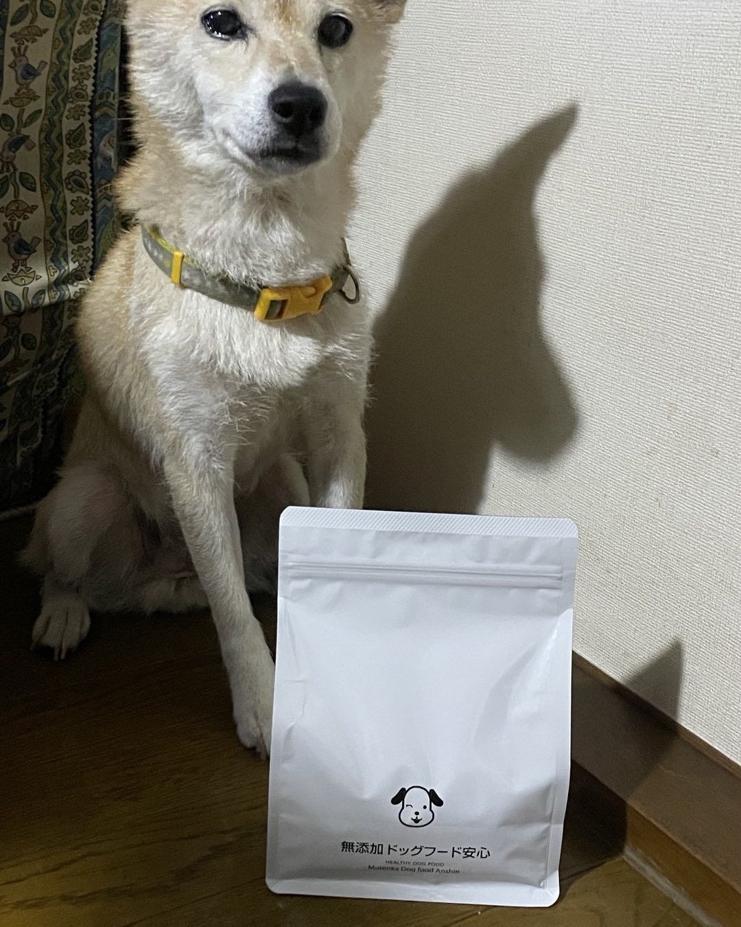 口コミ投稿：soramoko0906#ドッグフード無添加安心本舗 #無添加ドッグフード安心 #monipla #dogfo…