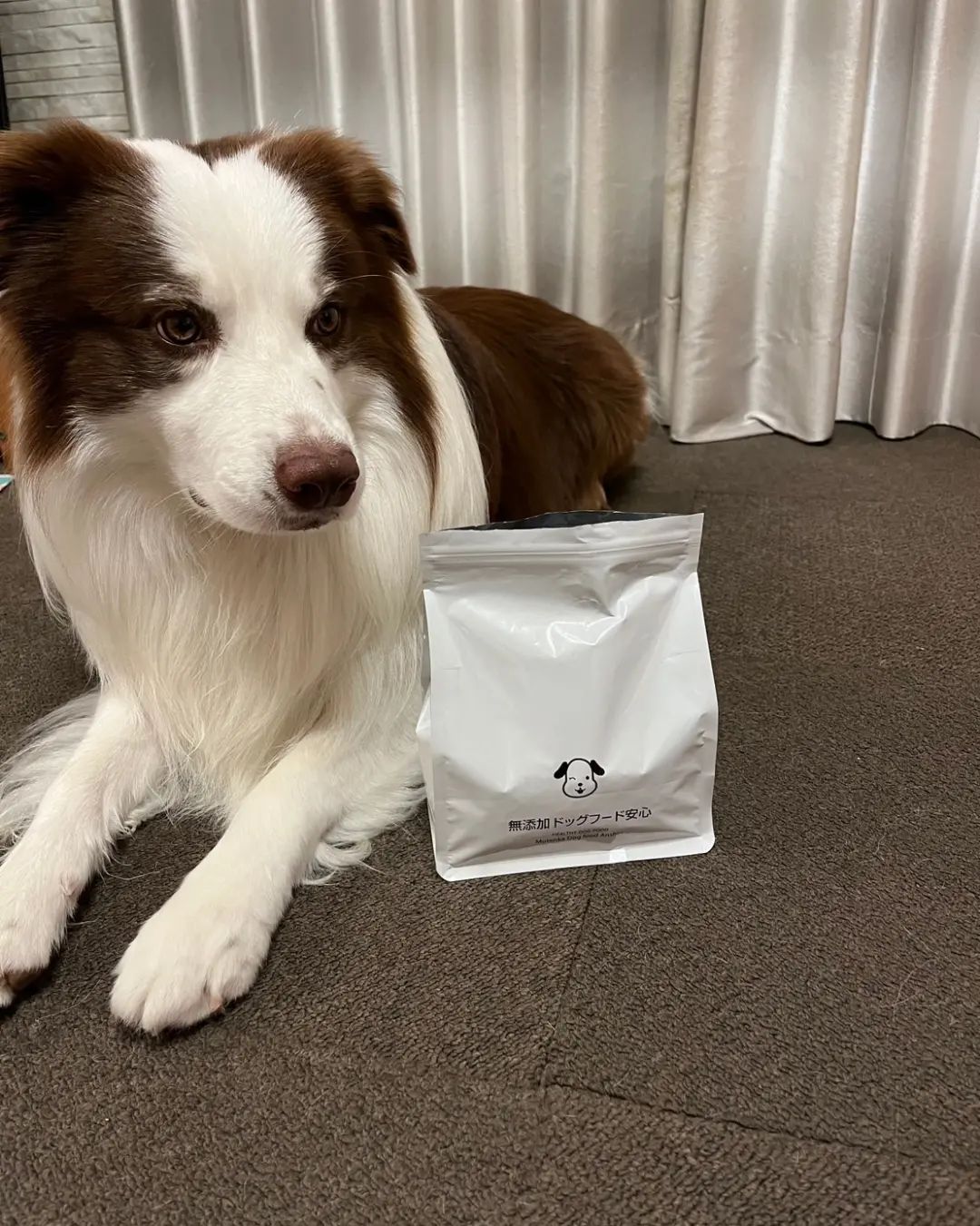 口コミ投稿：ドッグフード無添加安心本舗（u0040mutenkaanshinhonpo ）さんの、【無添加ドッグフ…