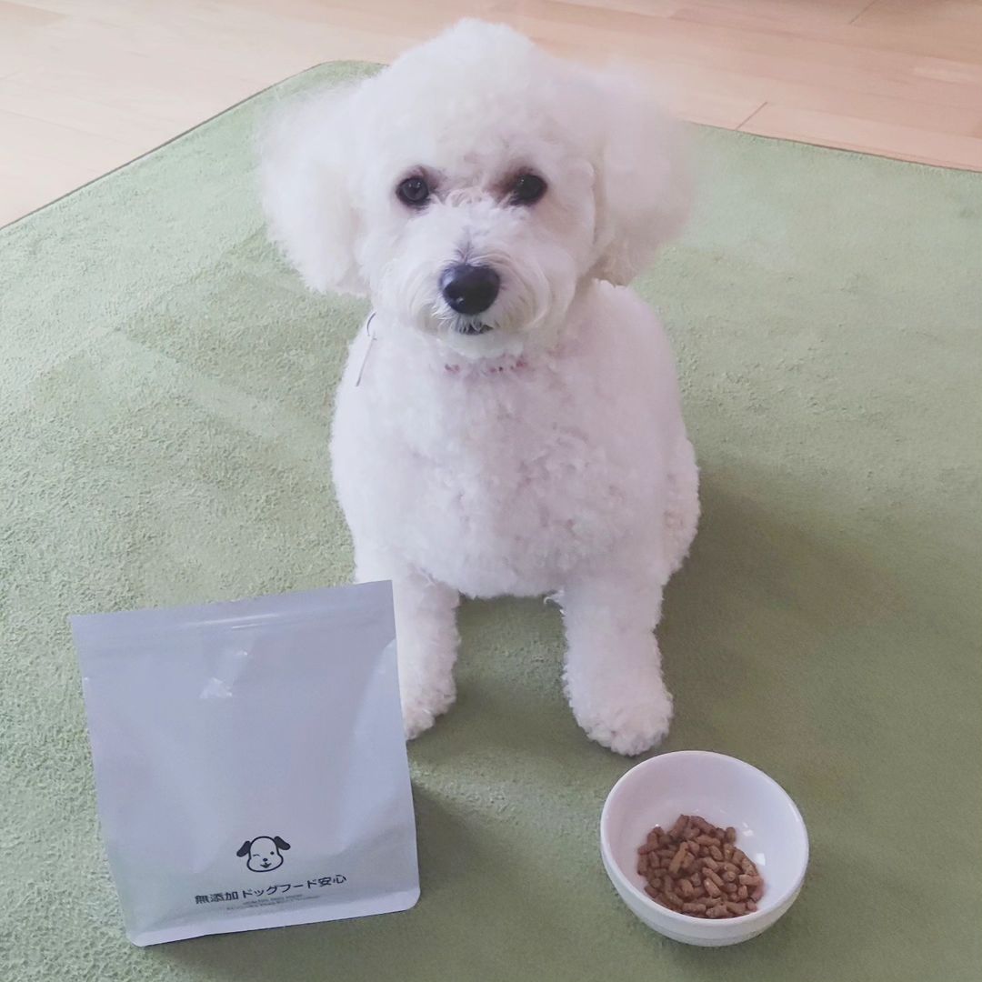 口コミ投稿：🐶ドッグフード無添加安心本舗🐩＼『無添加ドッグフード安心』／u0040mutenkaanshinhon…