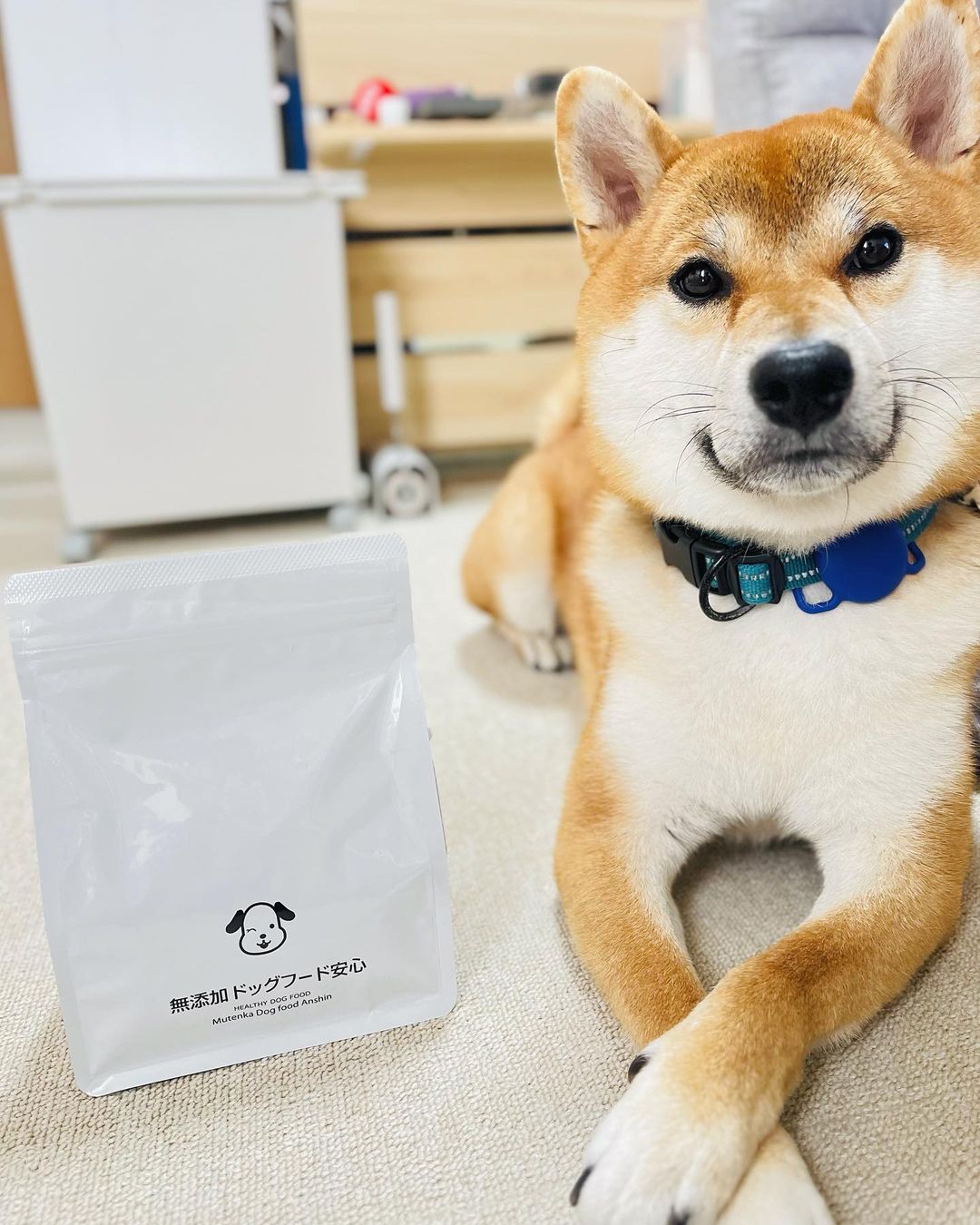 口コミ投稿：shibainu_sho_kun無添加安心本舗さんのフードをモニターさせてもらいます💙100g、425K…