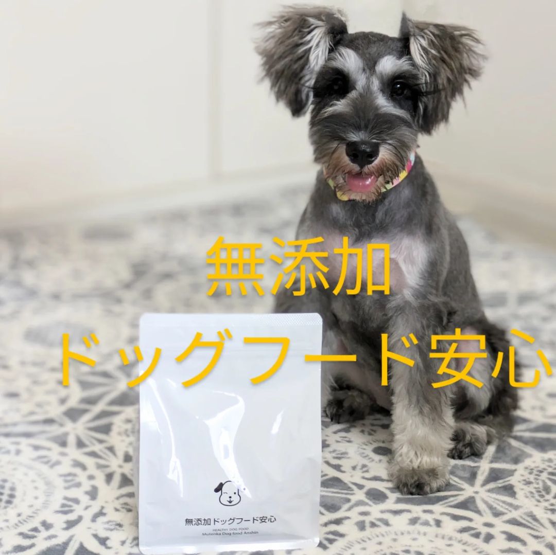 口コミ投稿：(⋈◍＞◡＜◍)。✧♡愛犬の健康を第一に考えて作られたドッグフード無添加安心本舗の　「…