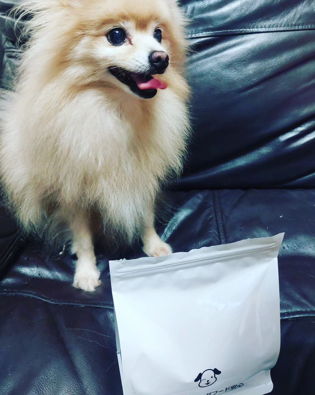 口コミ投稿：無添加ドッグフード安心 を愛犬にあげてみました❣️ 人が食べられる食材でつくったド…