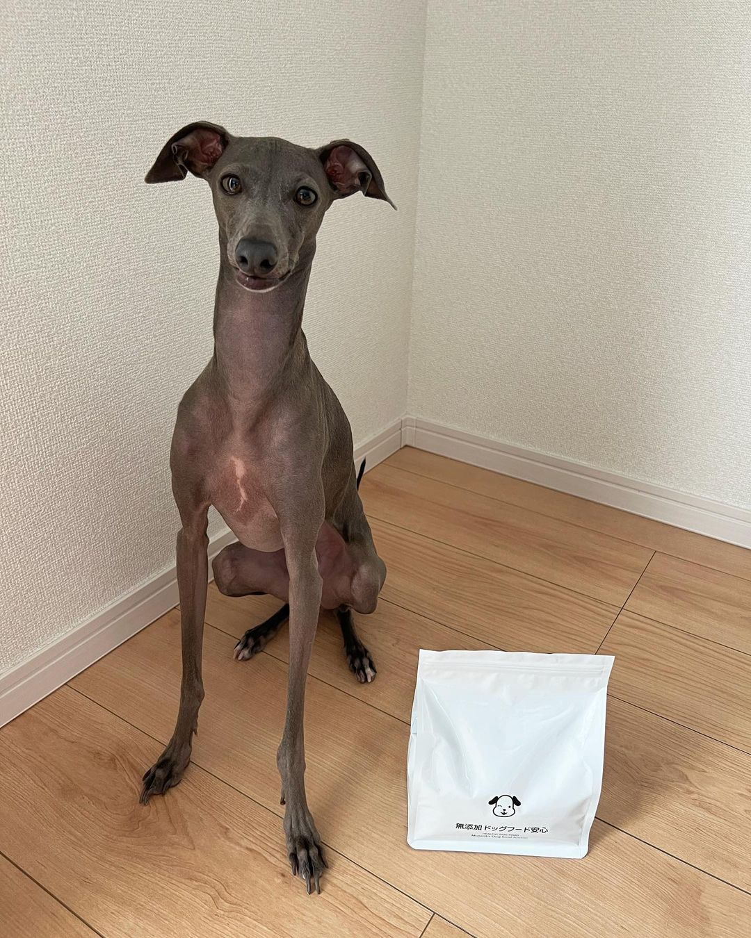 口コミ投稿：..【　無添加ドッグフード安心　】人が食べられる食材で作られたドッグフード🐕✨無添…