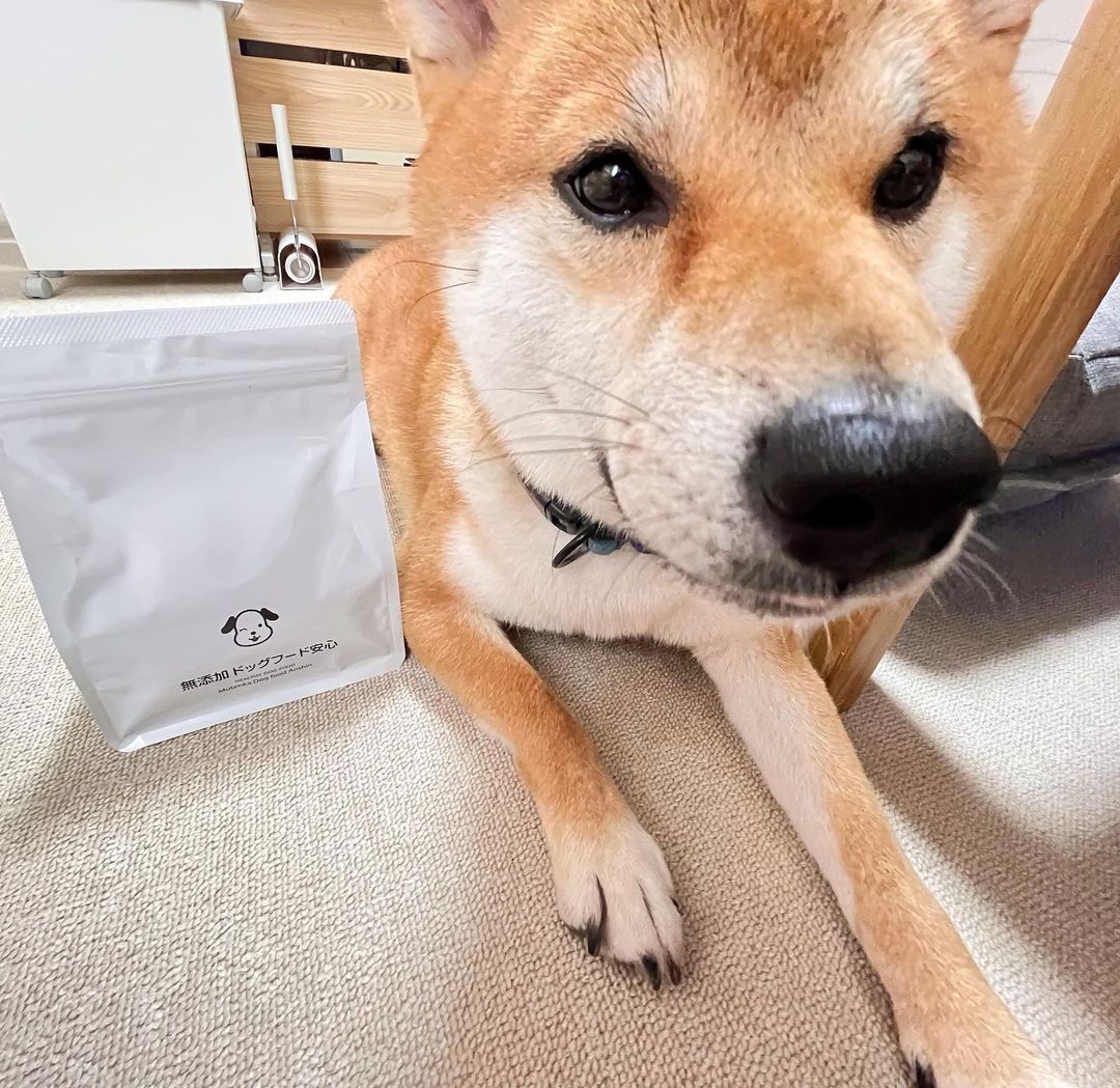 口コミ投稿：え？くれるんですか？と言ってそうなしょうくん❤️まだ開封してないからね笑2枚目は粒…