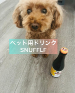 見た目はビール🍺？😆でもこれはアルコール0u0025犬用液体スナックSNUFFLF  チキン味🍗暑い日のお散歩やお出かけ時の水分補給に、食欲がない時の食欲増進に、飼い主さんの晩酌のお相手に&hellip;のInstagram画像