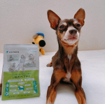 サプリ食べてみたイミダペプチドならぬ&rdquo;いぬだペプチド&rdquo;小粒の錠剤で5kg以下は1日1粒だそう。お魚のほのかな香りがして食いつきよさげです。よく&rdquo;お薬は警戒して食べない&rdquo;って子が居ますけど、&hellip;のInstagram画像