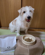 口コミ記事「無添加ドッグフード安心」の画像