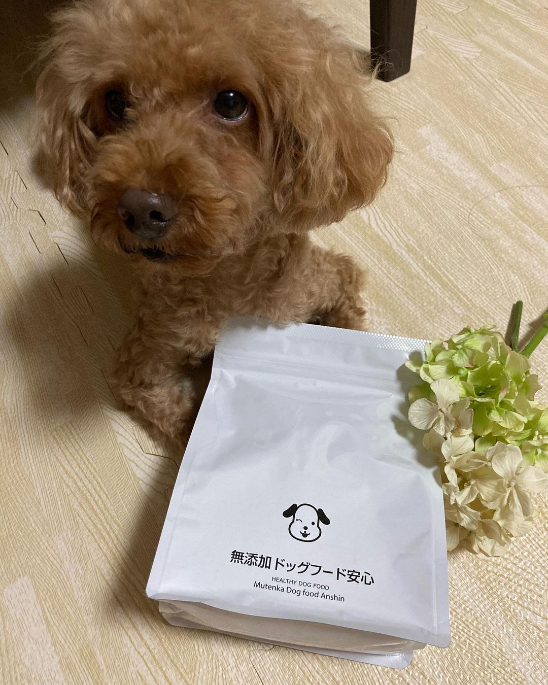 口コミ投稿：やっぱりわんこたちには🐕🐕安心安全で美味しいものを食べてほしい💓いつまでも元気で長…