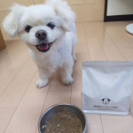 無添加ドッグフード安心をモニターしました🎶⁡人⁡が食べられる食材でつくったドッグフードで⁡、とても栄養価も高く、普段あげているフードより少なめに与えても良いそうで、⁡その方がわんちゃんの体にも負担が&hellip;のInstagram画像