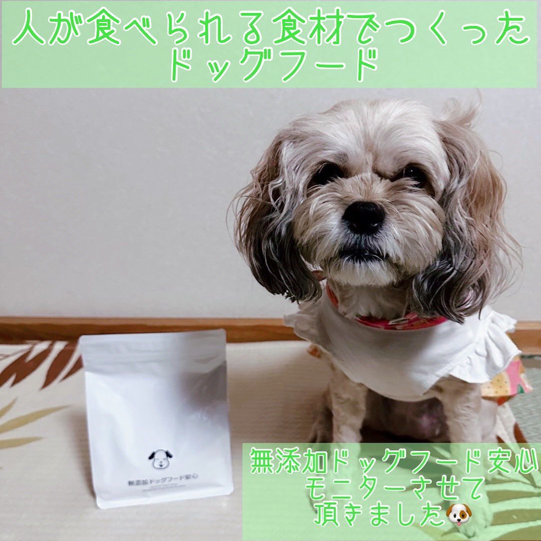 口コミ投稿：ご縁があり  #無添加ドッグフード安心 の #モニター をさせて頂きました😊ありがとう…