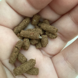 口コミ：【無添加キャットフード安心（400g）】の画像（5枚目）