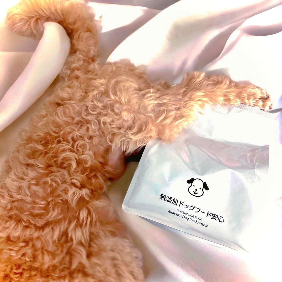 口コミ投稿：Without Additivesヒューマングレードの無添加ドッグフードが届いてとにかく美味しそ…