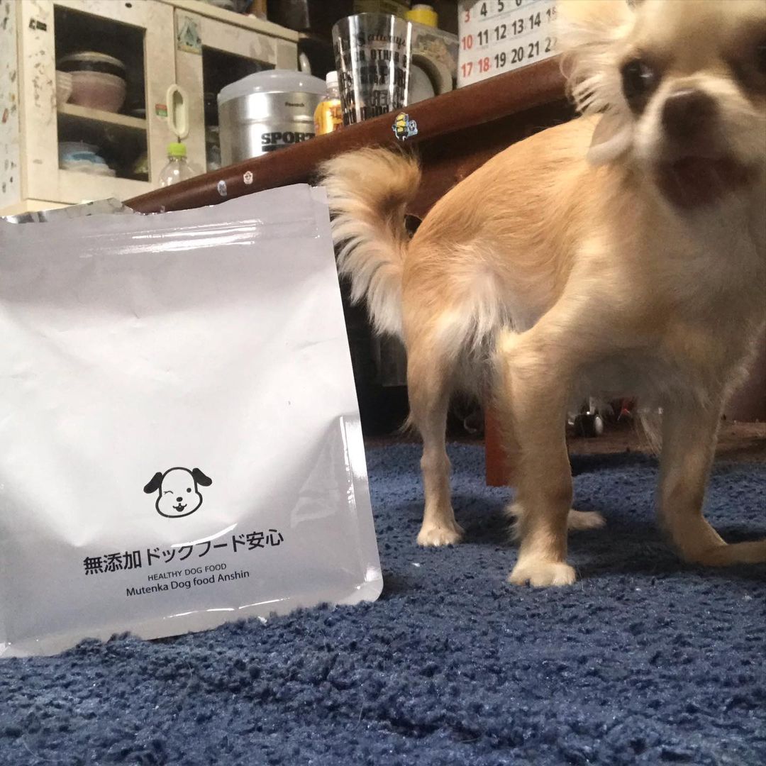 口コミ投稿：chansan_16人が食べられるもので作られたドッグフード！！！無添加ドッグフード安心(…