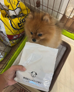 普段あんまりご飯の食いつきが良くない我が家のぽんちゃん🐶このご飯と他のご飯混ぜてあげるとこのご飯だけよって食べる🤣そしてほのかに鰹節の匂い&hellip;#ドッグフード無添加安心本舗 #無添加ドッグフード安&hellip;のInstagram画像