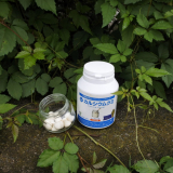 口コミ記事「モンド10年連続最高金賞受賞♪「カルシウムグミ（ヨーグルト味）」お試しレポ」の画像