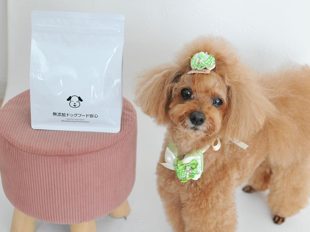 口コミ投稿：⁡┈┈┈┈┈┈┈┈┈┈┈┈ 無添加ドッグフード安心┈┈┈┈┈┈┈┈┈┈┈┈⁡⁡我が家の愛犬はトイプードル。3…