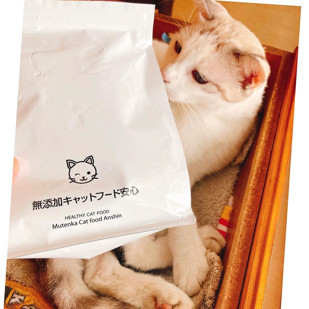 口コミ投稿：ドッグフード無添加安心本舗の「無添加キャットフード安心」♪かわいい愛猫にはおいし…