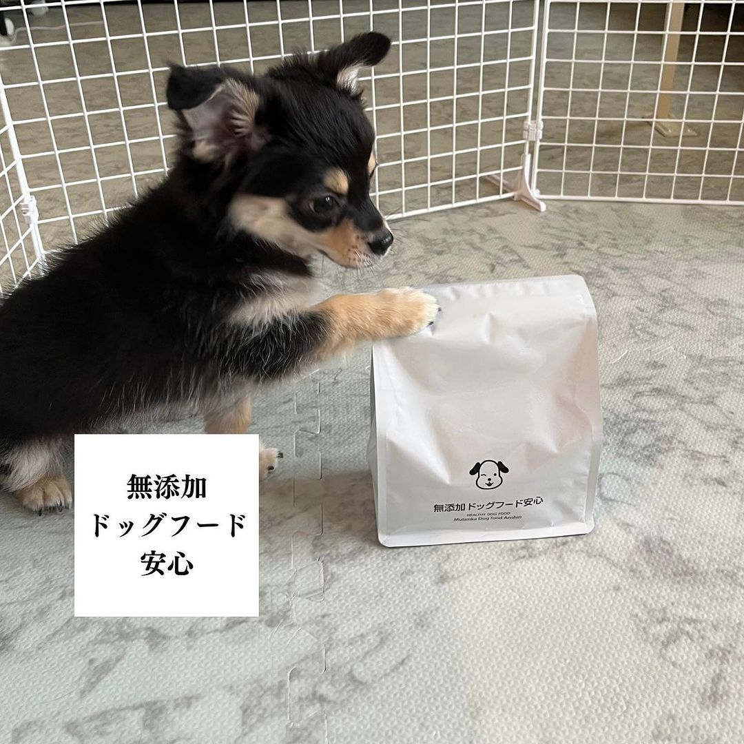 口コミ投稿：【愛犬の健康を第一に考えたドッグフード🐕✨】.人が食べられる食材でつくったドッグフ…