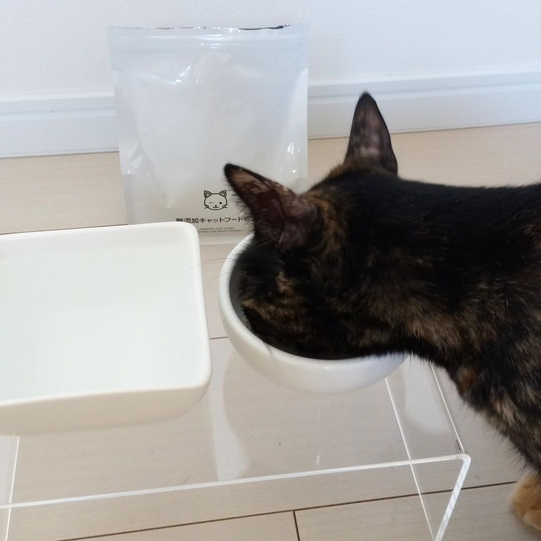 口コミ投稿：*#今日のにゃんこ ~𓃠♡今、愛猫にこちらのごはんをあげています😻#無添加安心本舗 様の…