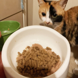 口コミ：無添加キャットフード安心（猫用）☆の画像（4枚目）