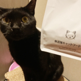口コミ記事「無添加キャットフード安心（猫用）☆」の画像