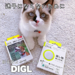 ．迷子にならないために🐈⸒⸒⸒⸒⁡⁡紛失防止スマートタグDIGL⁡⁡のあちゃんとミントに紛失防止スマートタグDIGLを付けたよ✨️⁡⁡保護猫のミントは、何度か脱走してそのた&hellip;のInstagram画像