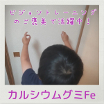 発達障害の療育先が開催した講習会に参加して、タンパク質と鉄分の摂取が大切と言われ、サプリで摂ることを薦められたので鉄分サプリを探していました。そして、全部で４種類ある&ldquo;すくすくのっぽくん&rdquo;のカルシ&hellip;のInstagram画像