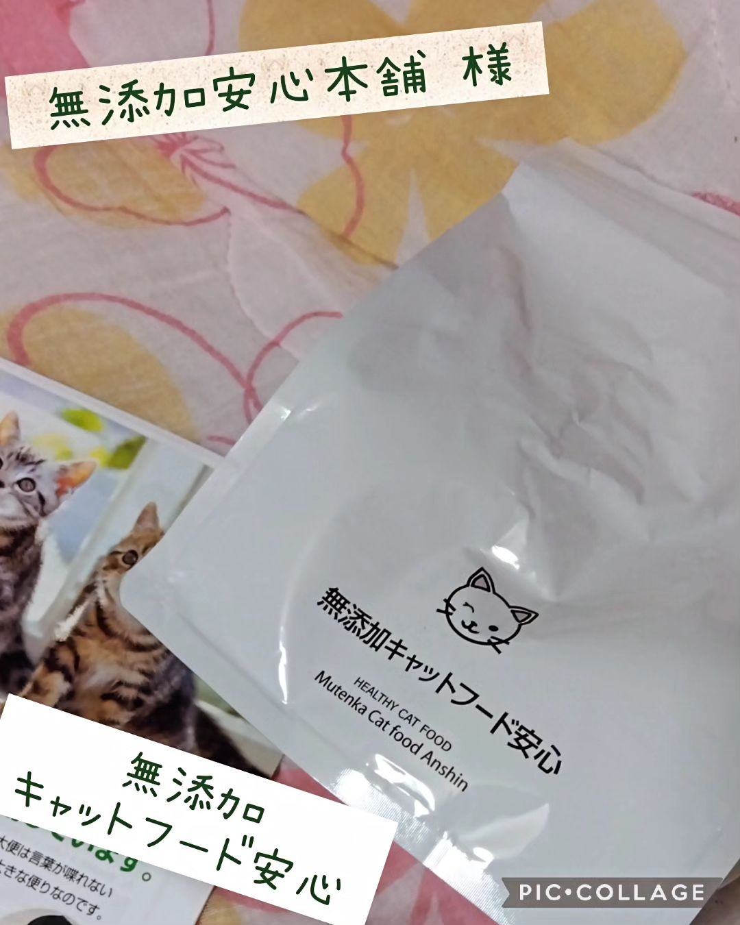 口コミ投稿：#PR 無添加安心本舗様より【無添加キャットフード安心】人間も食べられる食材で作っ…