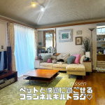 #まめとそぼろ を探してねw・・家族みんなが集まる#リビング は、#愛犬 たちにも寛ぎの場所。が、しかーし、お庭から色々なものを運んできたり、ゴロゴロしたりするもんだから、ラグ選びもなか&hellip;のInstagram画像