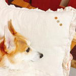 シンプルなクッションをちょっとワンポイントに☺️3つのボタン。このボタンは全て糸で🧵出来てるの‼️おしゃれだけで無くエコなボタン。色んな色もあるんですよ〜！u0040kwgc_inc チェック&hellip;のInstagram画像