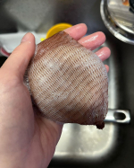 mikuchocomaruキッチン用手洗い洗剤COOKING HAND SOAP🧼キッチン作業をしている時に手についた油のぬるつきや、食品の臭いを落としてくれる、キッチン手洗い用の石鹸&hellip;のInstagram画像