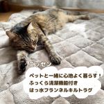 ラグを新しくしました&uml;̮⃝ニッセンさまから商品をご提供いただき、『ペットと一緒に心地よく暮らす！ふっくら清潔機能付きはっ水フランネルキルトラグ』を使い始めました。前使っていたものも気に入っ&hellip;のInstagram画像