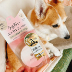 お肌が乾燥する季節。これパウダーでベタつかないのにお肌乾燥しない！なめらか〜なお肌に仕上がる！マスク下にもいい感じ。プチプラなのも嬉しいし気に入った☺️☺️ミルクちゃんは興味なし🐶#PR &hellip;のInstagram画像