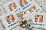 #PR #コスモメディアサービス #みんなのバッジ #缶バッジ #マグネット #DIY #オリジナル缶バッジ #フィンガーグリップ #monipla #cms_fanリアたんのバッジ作りました。す&hellip;のInstagram画像