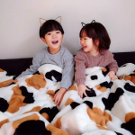 ♡まるで猫！のようなモフモフ2枚合わせ中わた入り毛布猫Feel 𓃠🩷「猫ちゃんのお腹に埋もれているような感じを再現する」をコンセプトに開発したネコ好きにたまらない商品🐾お迎えしたの&hellip;のInstagram画像